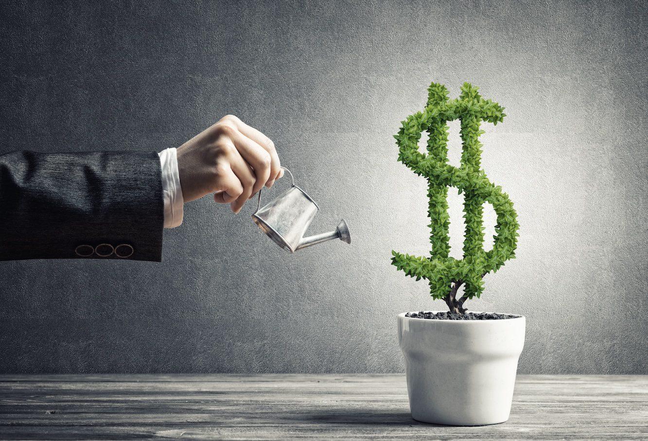 How to Reinvest Your Profits Back Into Your Business